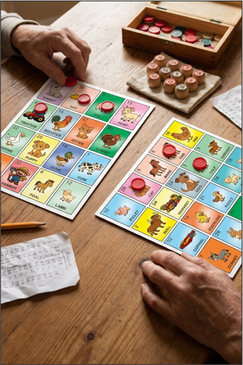 SBSSLP English Loteria